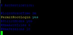 debian10 root登录提示Access denied-纳库易科